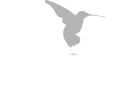 Reizen Peru